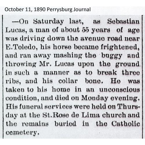 Sebastian Lucas - death report