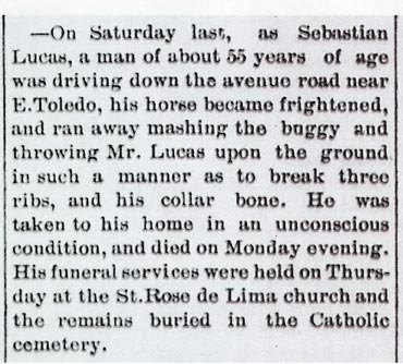 Sebastian Lucas accident newspaper clipping